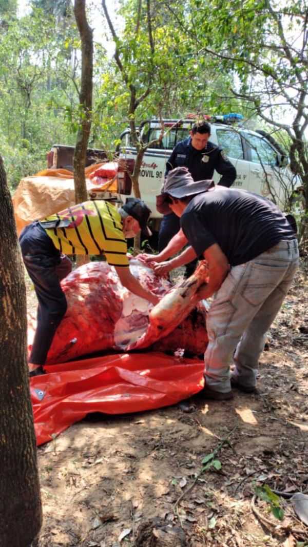 Detienen a supuestos abigeos en Yabebyry - Nacionales - ABC Color