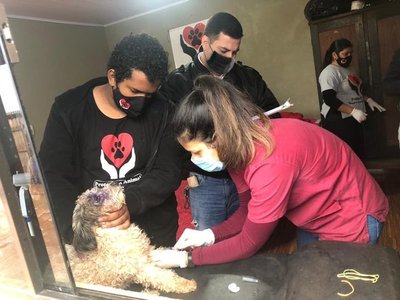 Como previa al Día Mundial contra la Rabia, invitan a vacunar mascotas en el AutoCan 2020 - ADN Paraguayo