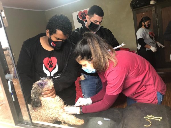 Como previa al Día Mundial contra la Rabia, invitan a vacunar mascotas en el AutoCan 2020 - ADN Paraguayo