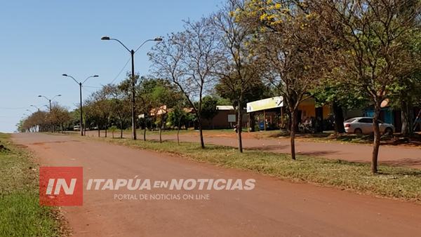 BUEN PRECIO DE YERBA MATE APLACÓ CRISIS POR CIERRE DE FRONTERAS EN APE AIME