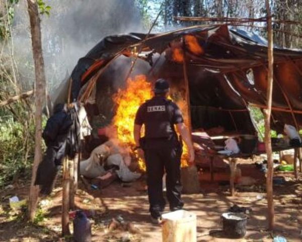 Detectan campamento narco y destruyen 8,8 toneladas de marihuana en Caaguazú