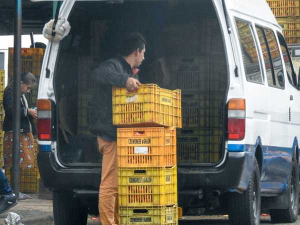 Pagando COIMA meten TONELADAS de TOMATE en CDE