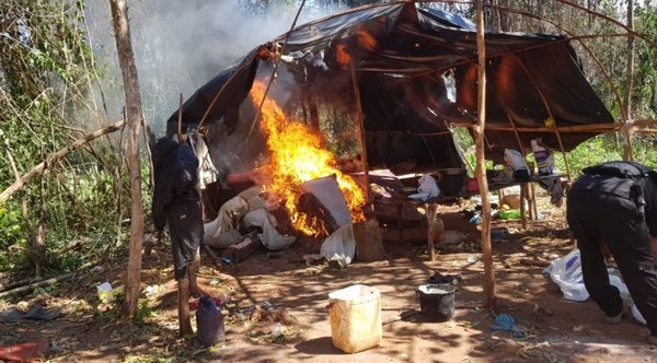 Senad destruye un campamento y más de 8 toneladas de marihuana