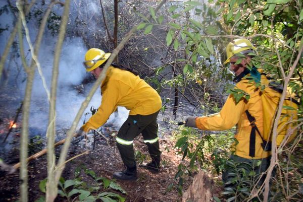 Varios focos de incendio en Parque Caazapá - Nacionales - ABC Color