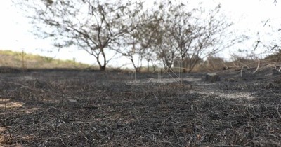 La Nación / Capacitan a pobladores para lucha contra incendios forestales