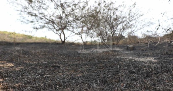 La Nación / Capacitan a pobladores para lucha contra incendios forestales