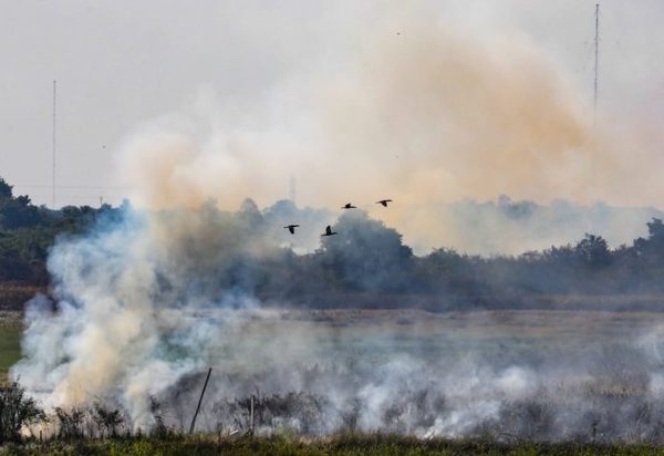 Incendios en todo el Departamento Central » Ñanduti