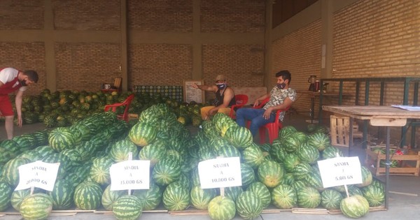La Nación / Productores de sandía vendieron 2.500 frutas mediante la gestión del MAG