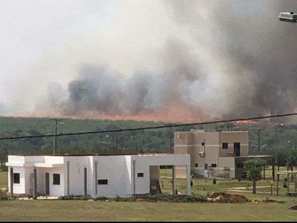 Incendio de gran magnitud en reserva de Itaipú  - ABC en el Este - ABC Color