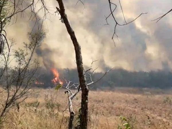 Arde Paraguay: Incendios no dan tregua y se encrudece la ola de calor