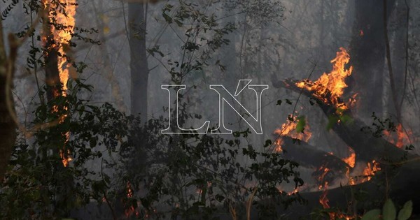La Nación / Se multiplican focos de incendio en varios puntos del país