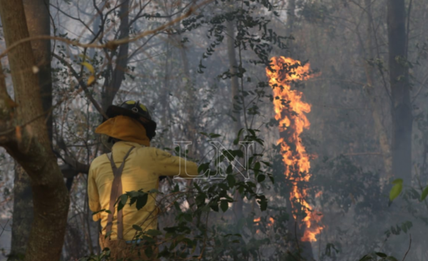 HOY / El 100% de los incendios es por culpa de quienes los provocan, afirman