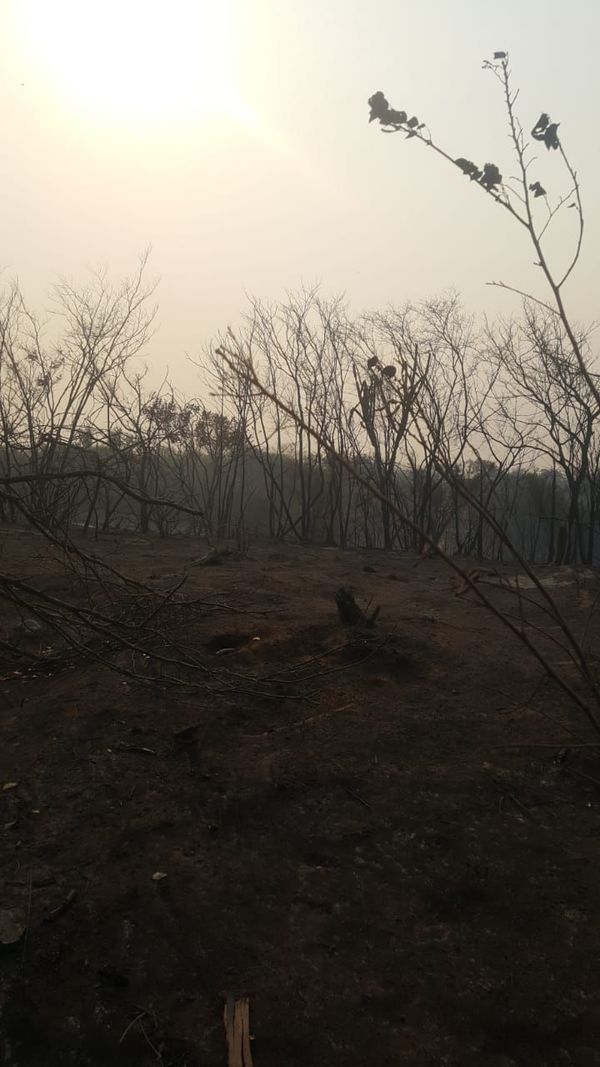 Bomberos no dan abasto ante la gran cantidad de incendios en el país - Nacionales - ABC Color