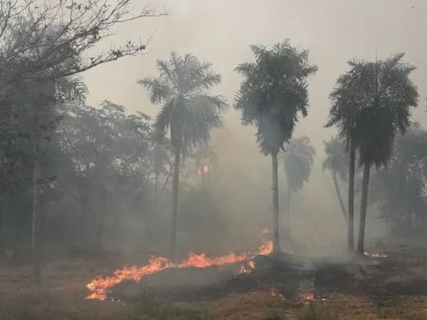 Cerro Patiño se quema y bomberos no dan abasto
