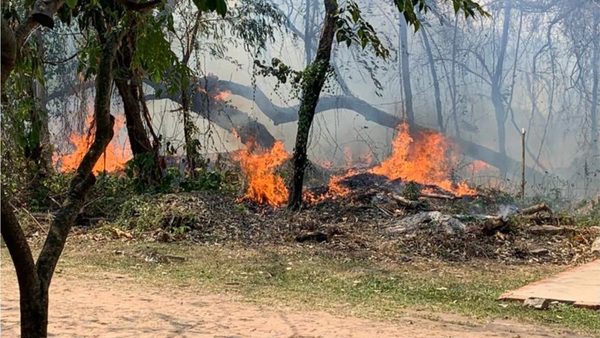 Incendios no cesan y ya afectan a gran parte del país