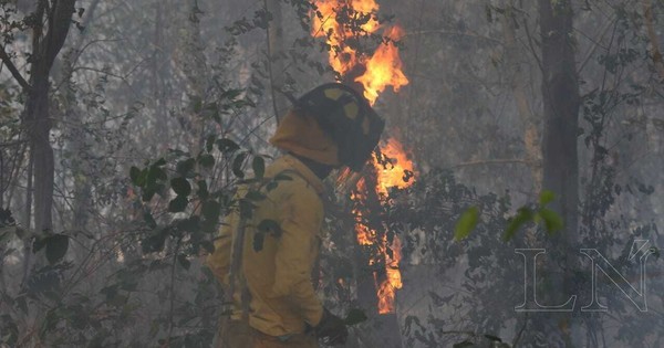 La Nación / Fuego consumió móvil de bomberos y voluntario fue hospitalizado