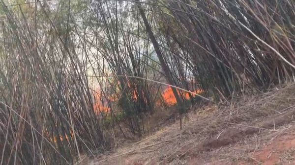 Fuego consume 500 hectáreas en Nueva Italia - Nacionales - ABC Color