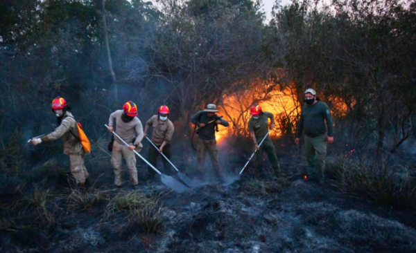 HOY / Reserva Tati Yupí en Hernandarias sufre el rigor de los incendios