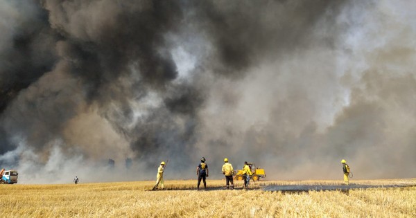 La Nación / Arrecian incendios de pastizales y cultivos en Alto Paraná