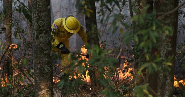 La Nación / Se multiplican focos de incendio en el país