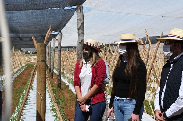 Experimentan con tecnología de precisión para agricultura familiar - Económico - ABC Color