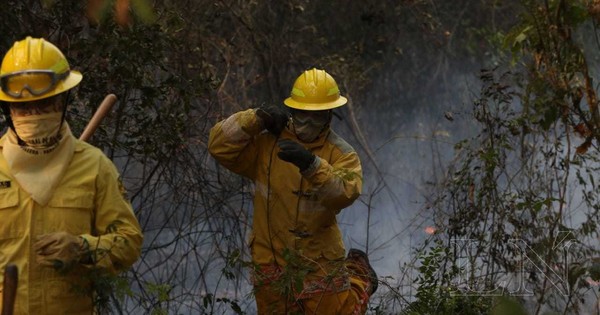 La Nación / Preocupa gran cantidad de incendios forestales y advierten sobre daños ocasionados