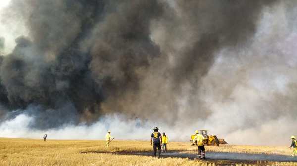 Incendios forestales: “Realmente podemos decir que el país está ardiendo, es terrible y preocupante” - ADN Paraguayo