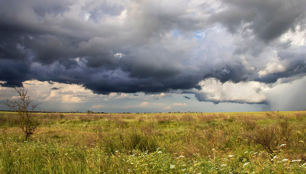 Tras el infierno de los 40 grados y pico, tormentas y un chiqui de frescura