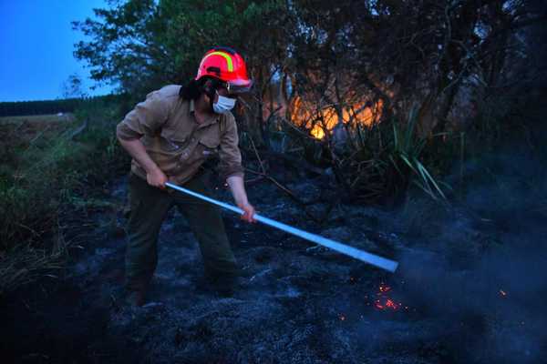 Bomberos y guardaparques de ITAIPU logran controlar incendios forestales
