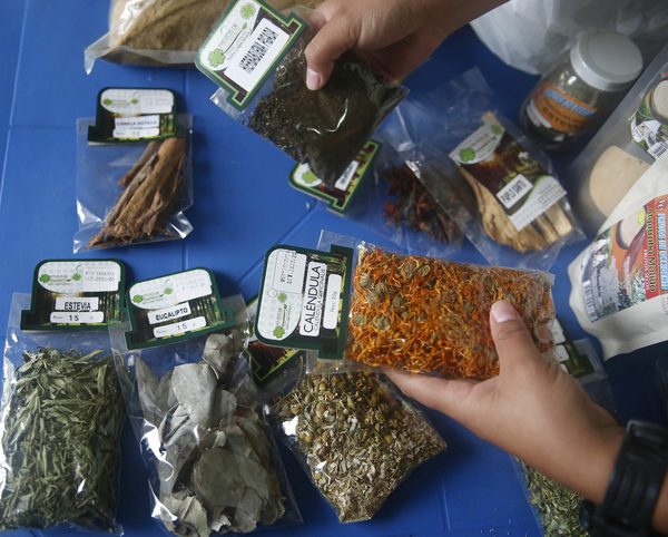 Un colombiano promueve el uso ancestral de la algarroba y las plantas medicinales - MarketData