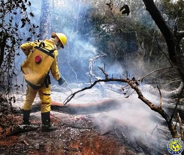 En un día reportaron seis incendios en Luque •