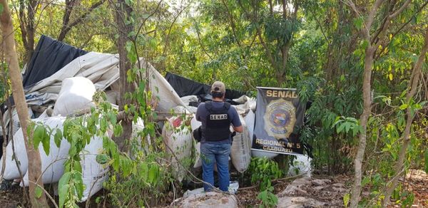 SENAD incauta 2,5 toneladas de marihuana en Caaguazú