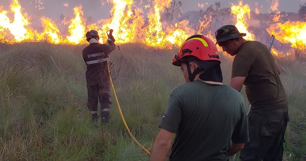 La Nación / Incendio en la Reserva Tatí Yupí fue controlado