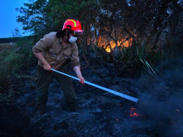 Incendios en reservas forestales de Itaipú fueron controlados