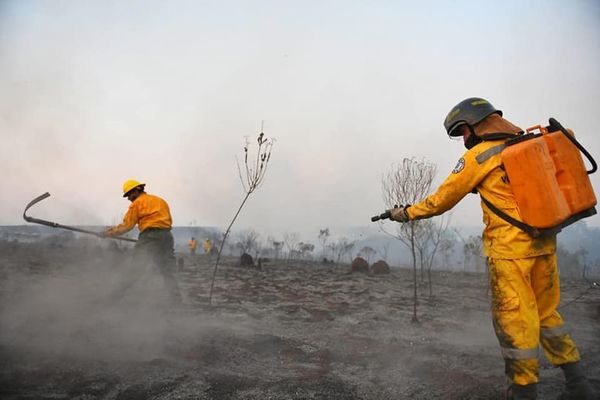 Incendios en dos reservas afectaron unas 36 hectáreas - ABC en el Este - ABC Color