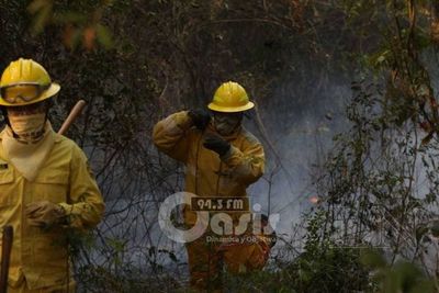 Preocupa gran cantidad de incendios forestales y advierten sobre daños ocasionados