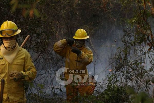 Preocupa gran cantidad de incendios forestales y advierten sobre daños ocasionados
