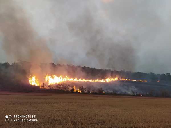 Incendio en plantación de TRIGO y zona BOSCOSA