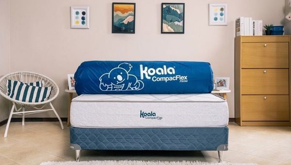 La línea de colchones Koala CompactFlex ya está en el mercado (súper fácil de transportar)