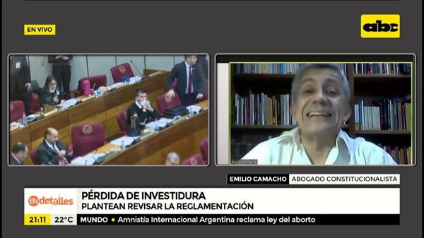 “Derecho a defensa de un senador es inherente a su condición de ser humano”  - Nacionales - ABC Color