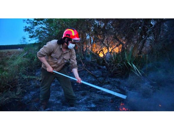 Monseñor insta a cambiar las malas costumbres ecológicas