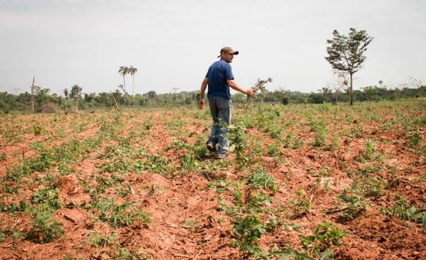 HOY / La Niña podría quedarse hasta febrero, según estimaciones