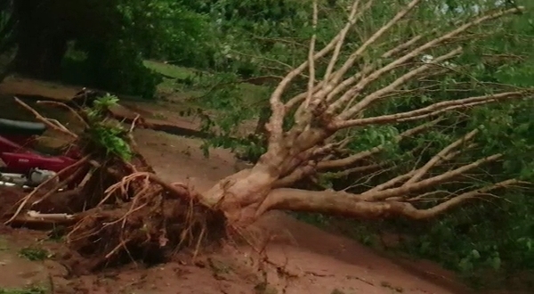 Vientos fuertes y caídas de granizos afectaron al norte del país