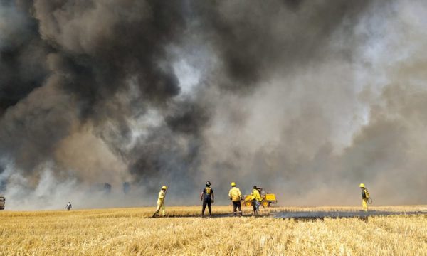 Incendios arrasan cultivos y pastizales en Alto Paraná y colapsa a Bomberos – Diario TNPRESS