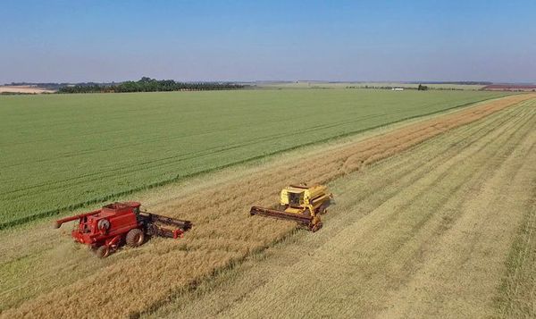 Medidas para reducir la vulnerabilidad al cambio climático del sector agrícola