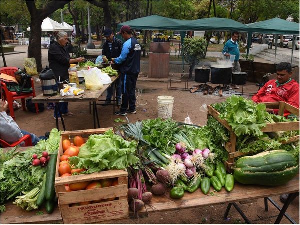 Pérdida de producción hortícola por sequía afecta a 240.000 familias