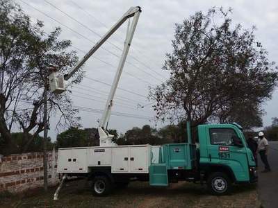 ANDE inicia operativo para mantenimiento intensivo en Alto Paraná