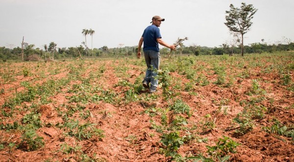 LA NIÑA PODRÍA QUEDARSE HASTA FEBRERO, SEGÚN ESTIMACIONES