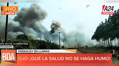 ¡Paraguay en llamas! Más de 300 focos de incendios en todo el país
