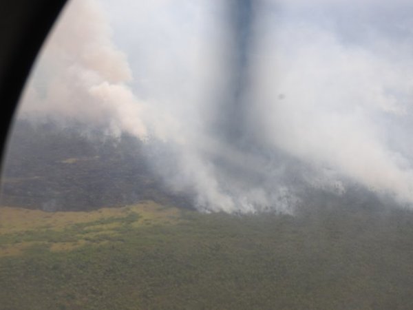 El ser humano, el principal causante de los incendios » Ñanduti